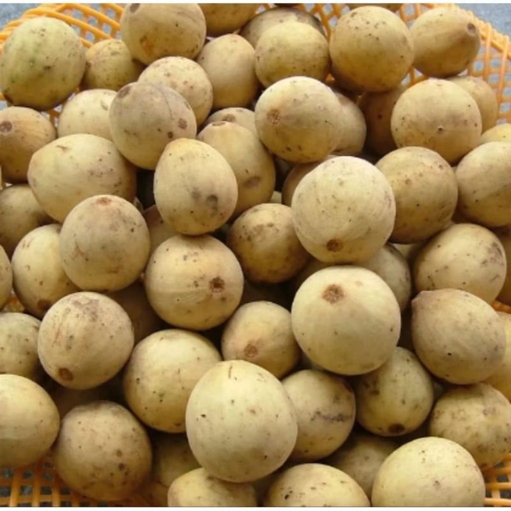 

Duku Palembang Perkilo