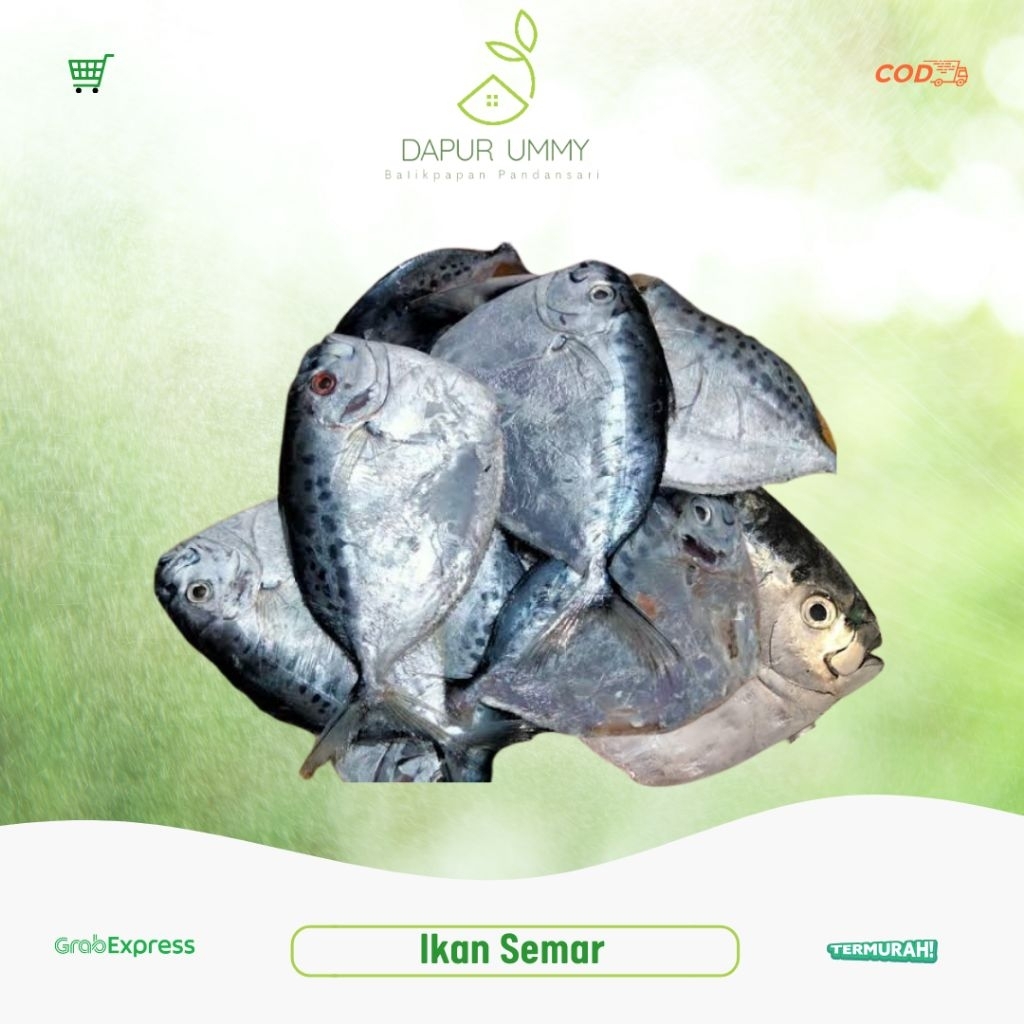 

SEMAR • Ikan Semar • Ready Waktu Pagi 1Kg