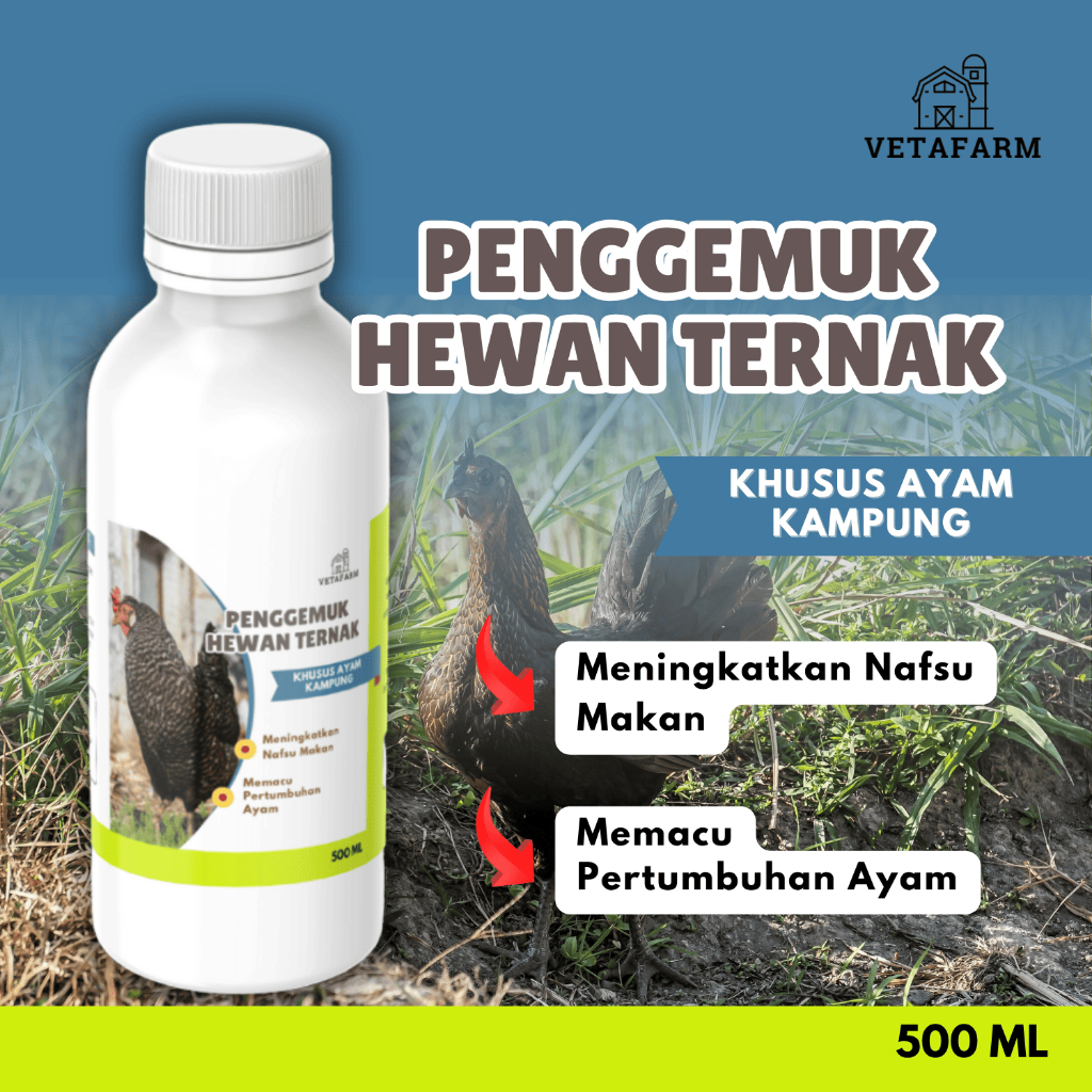 VETAFARM Vitamin Ayam Kampung Untuk Meningkatkan Produksi Telur 500 ml