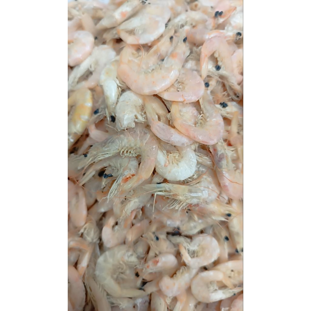 

Udang Manis/ Udang Manis Khas Medan/ Udang Asin/ Udang Kering