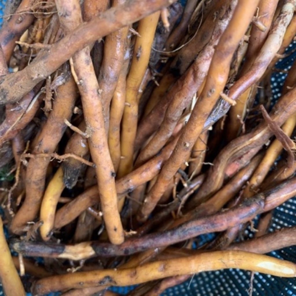 

AKAR PINANG ASLI 500 GRAM.