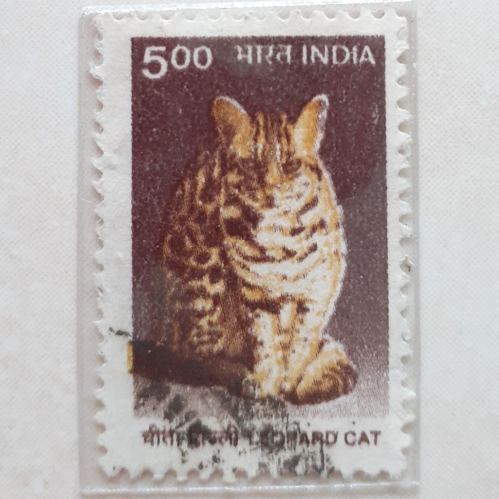 

(AS1) Perangko India Wildlife Definitives (Leopard Cat (Prionailurus bengalensis)) Tahun 2000