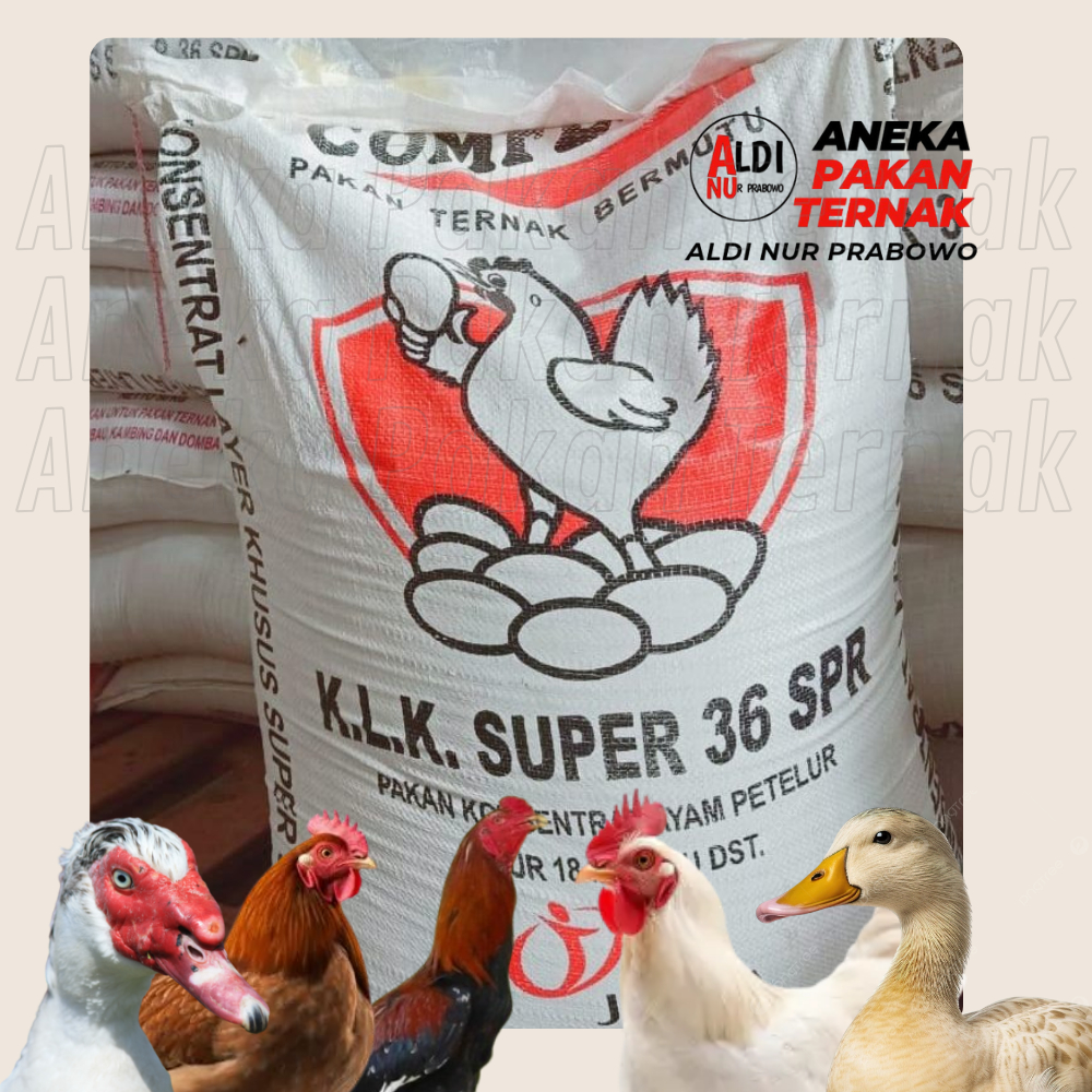 Pakan Ayam Petelur Protein 36% - Comfeed KLK Super 36 Pakan Konsentrat untuk Ayam Petelur