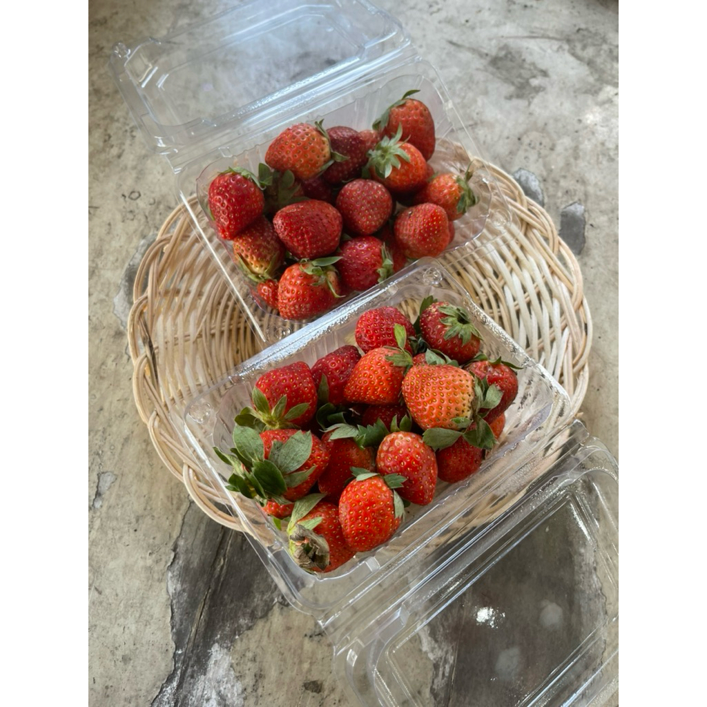 

buahfreshku - stroberi lokal 230 gram