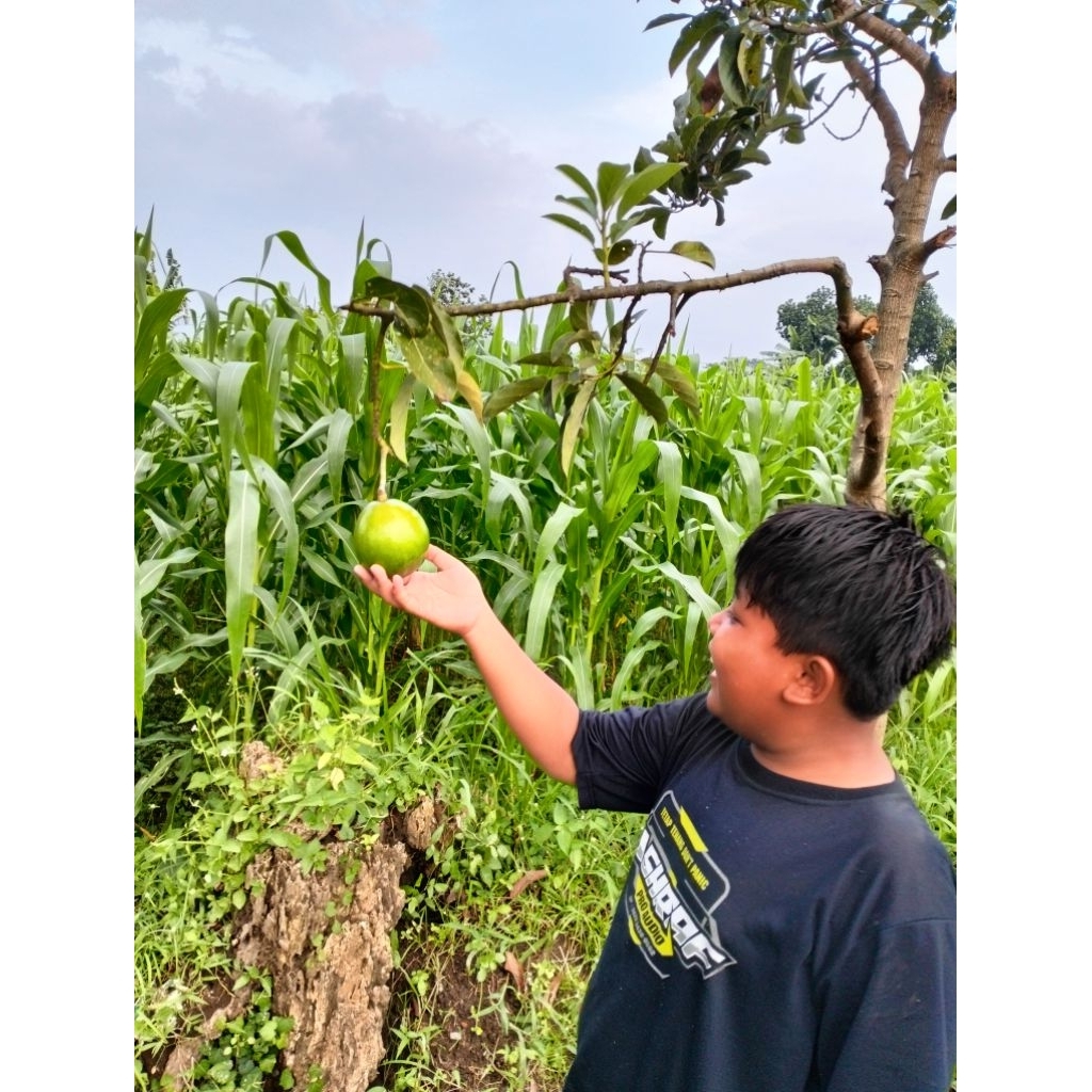 

SPESIAL LIVE CARGO 15