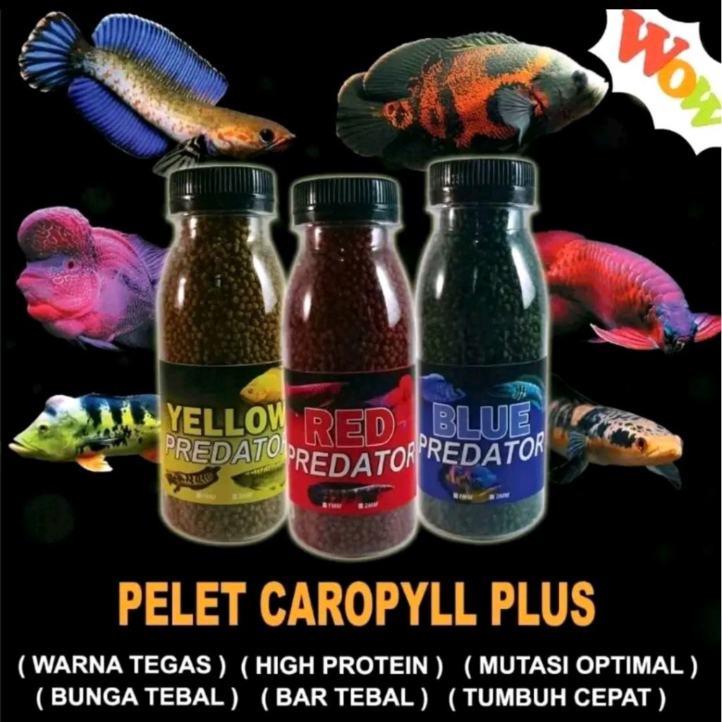 Pelet Ikan Channa Premium Red Blue Yellow  Carophyl  Channa Lohan  Arwana Oscar / Pelet Predator