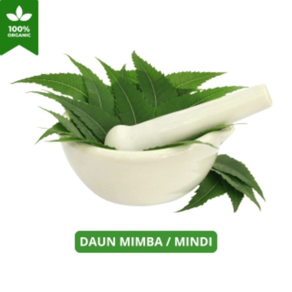 

DAUN MIMBA/MINDI SEGAR 1KG MURAH OBAT HERBAL TRADISIONAL DIPETIK LANGSUNG DARI POHONNYA KETIKA ADA ORDERAN MASUK
