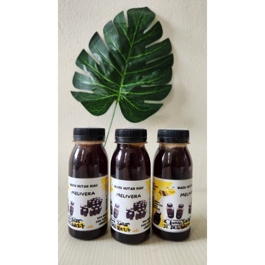 

Melivera Madu Hutan Sumatera Asli 100% Botol 150gr
