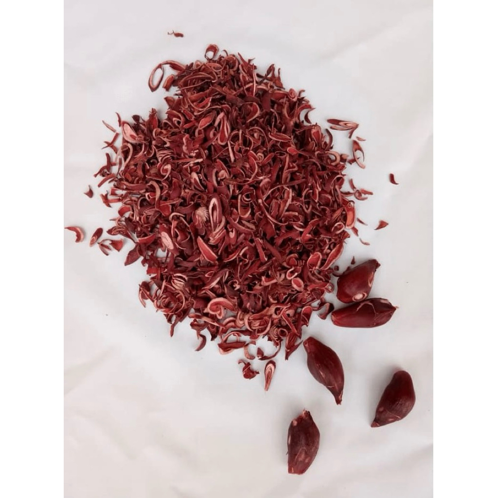 

Bawang Dayak Kering Kualitas Super 1Kg