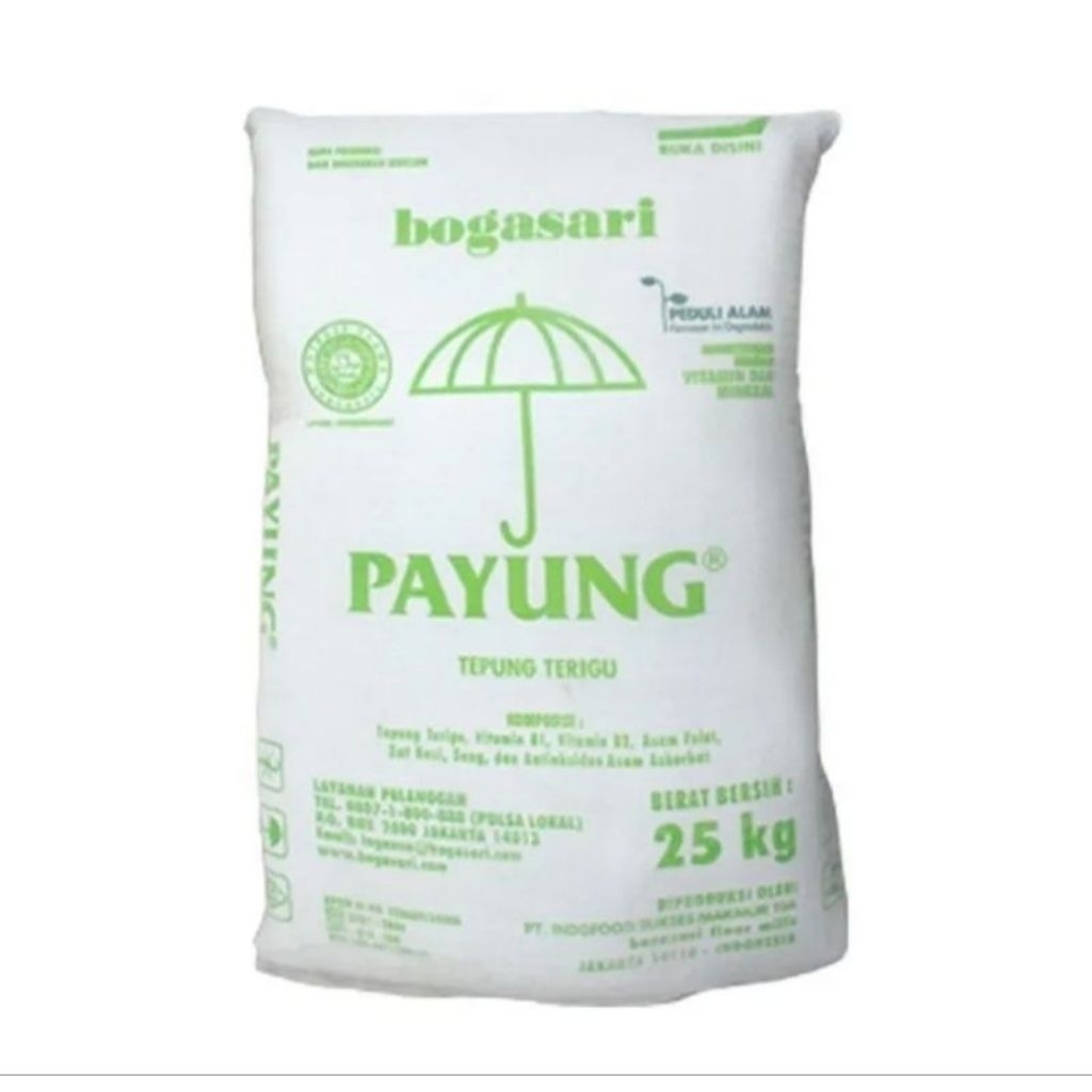 

TEPUNG TERIGU PAYUNG 25 KG (KHUSUS INSTAN)