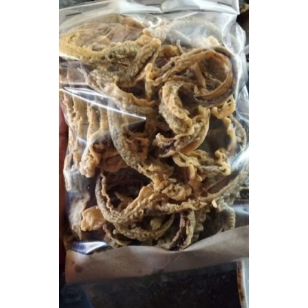 

KRIPIK BELUT RENYAH & GURIH (100gr)