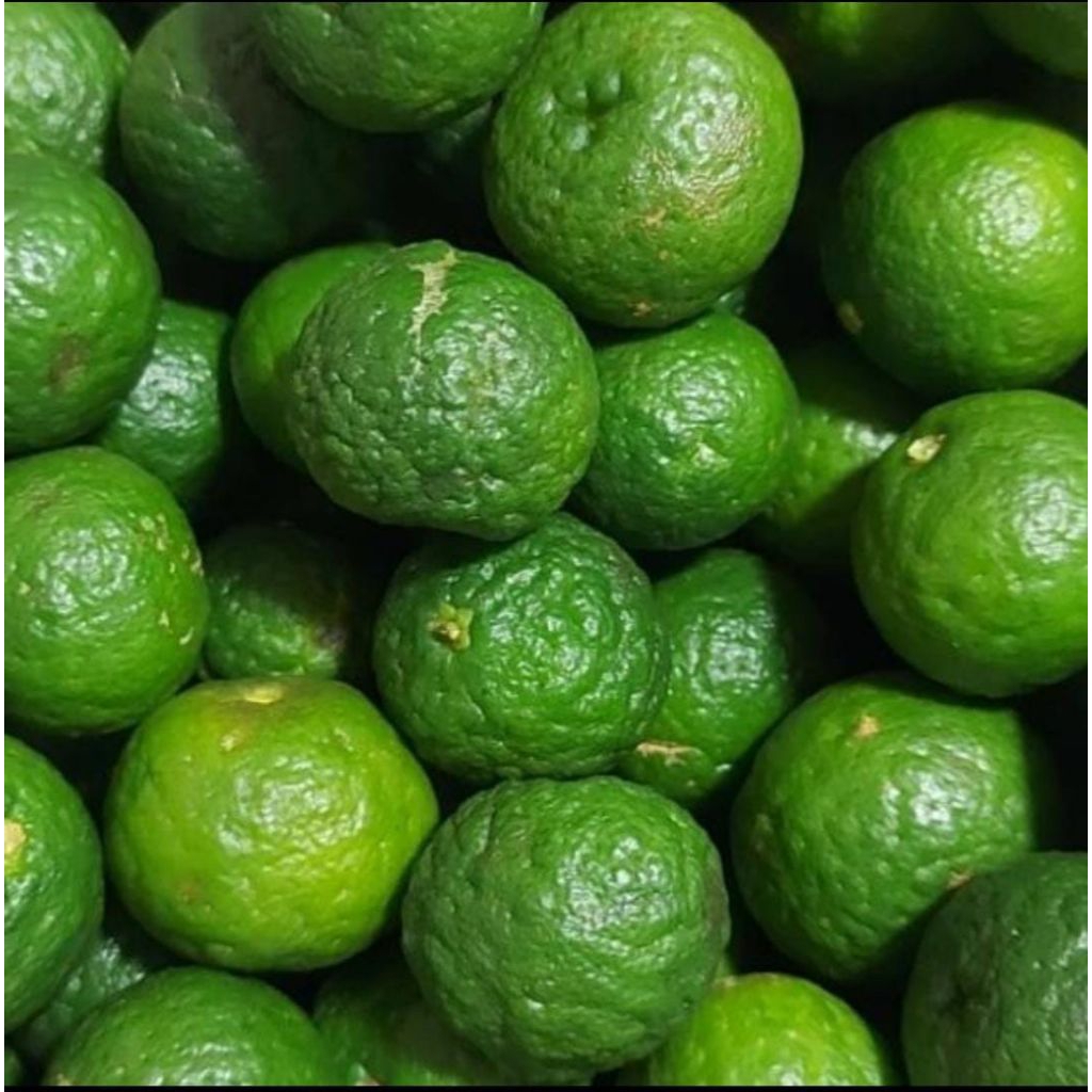 

jeruk limau 250 gram