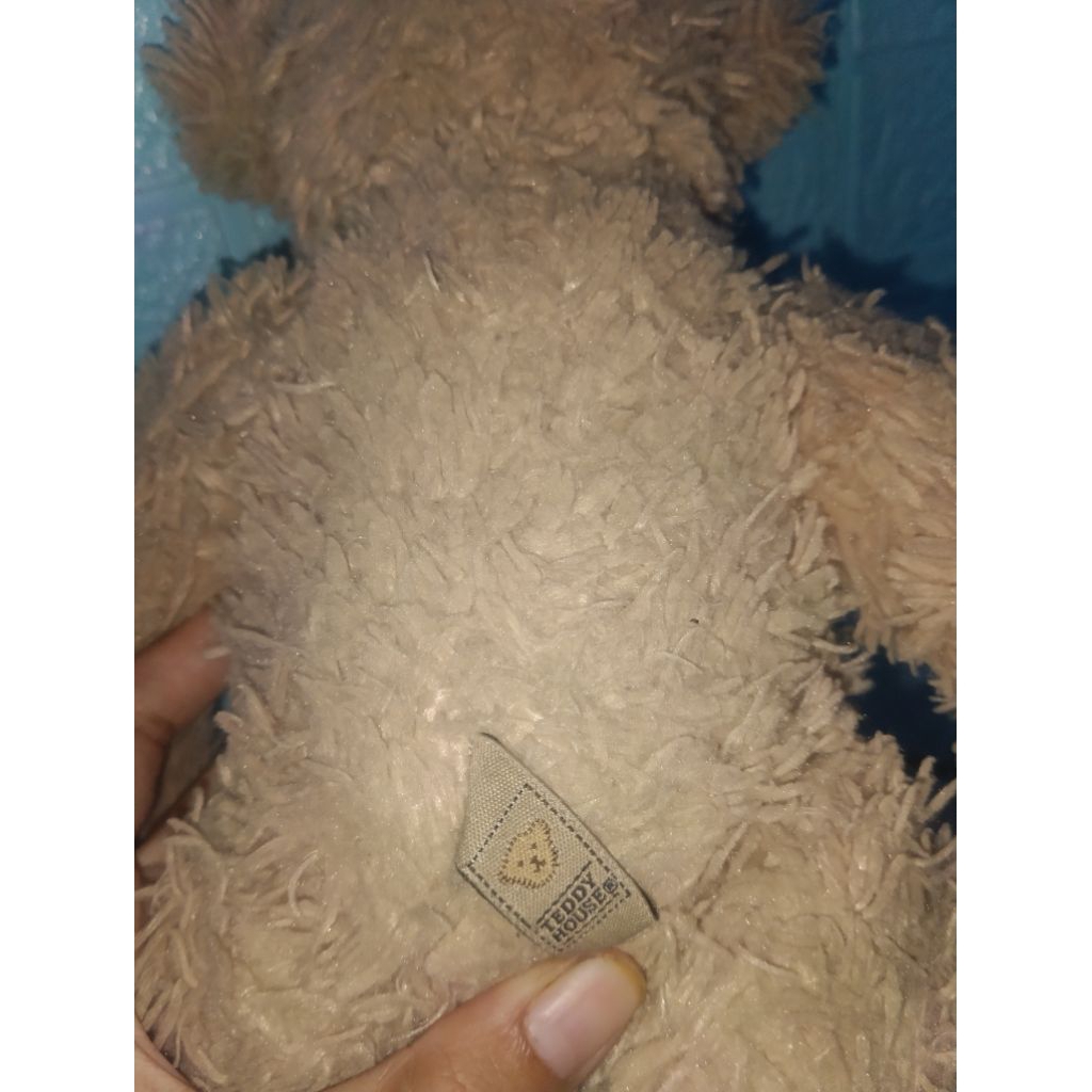 teddy house original