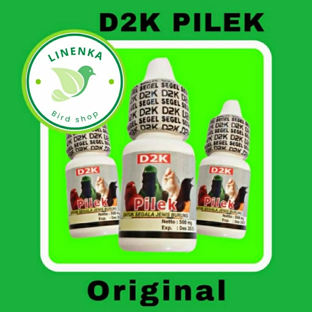 D2K PILEK OBAT BURUNG PILEK NGOROK BULU MENGEMBANG