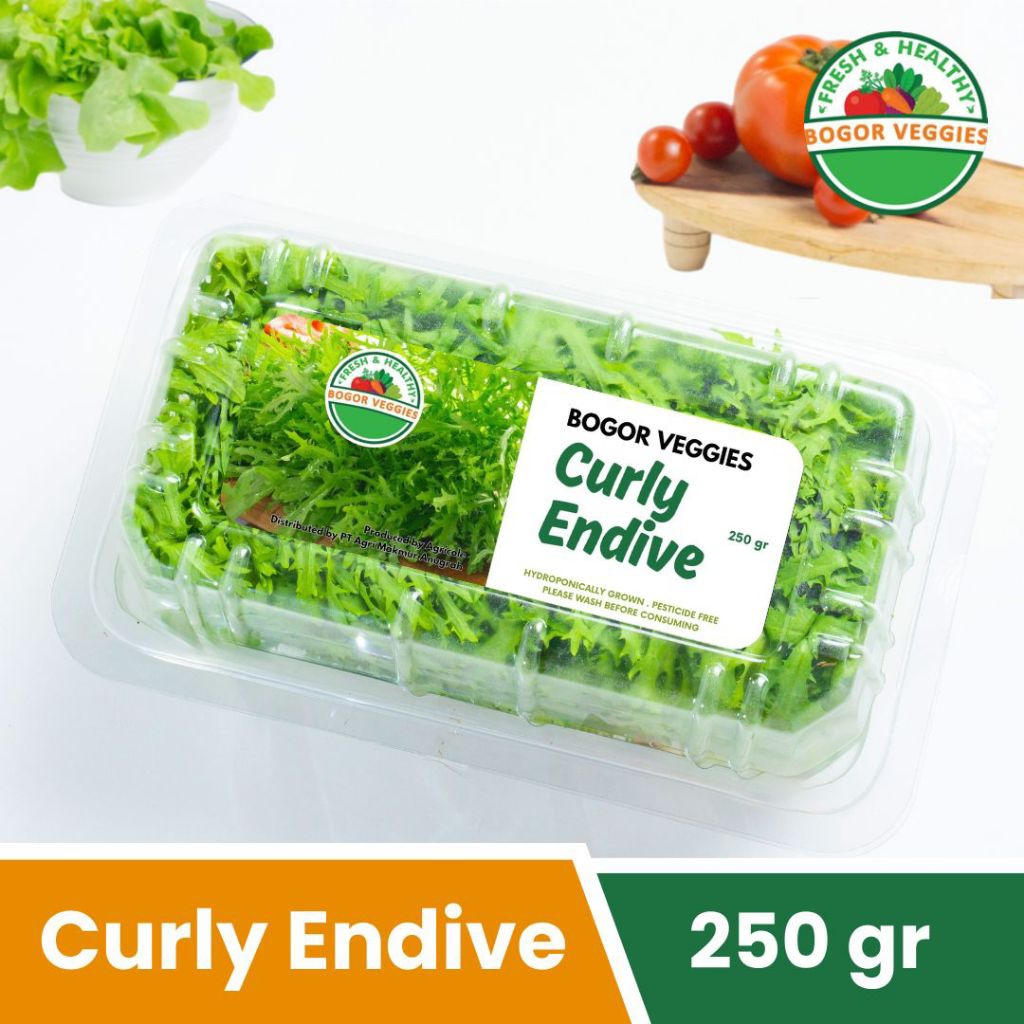

Curly Endive 250gr Bogor Veggies