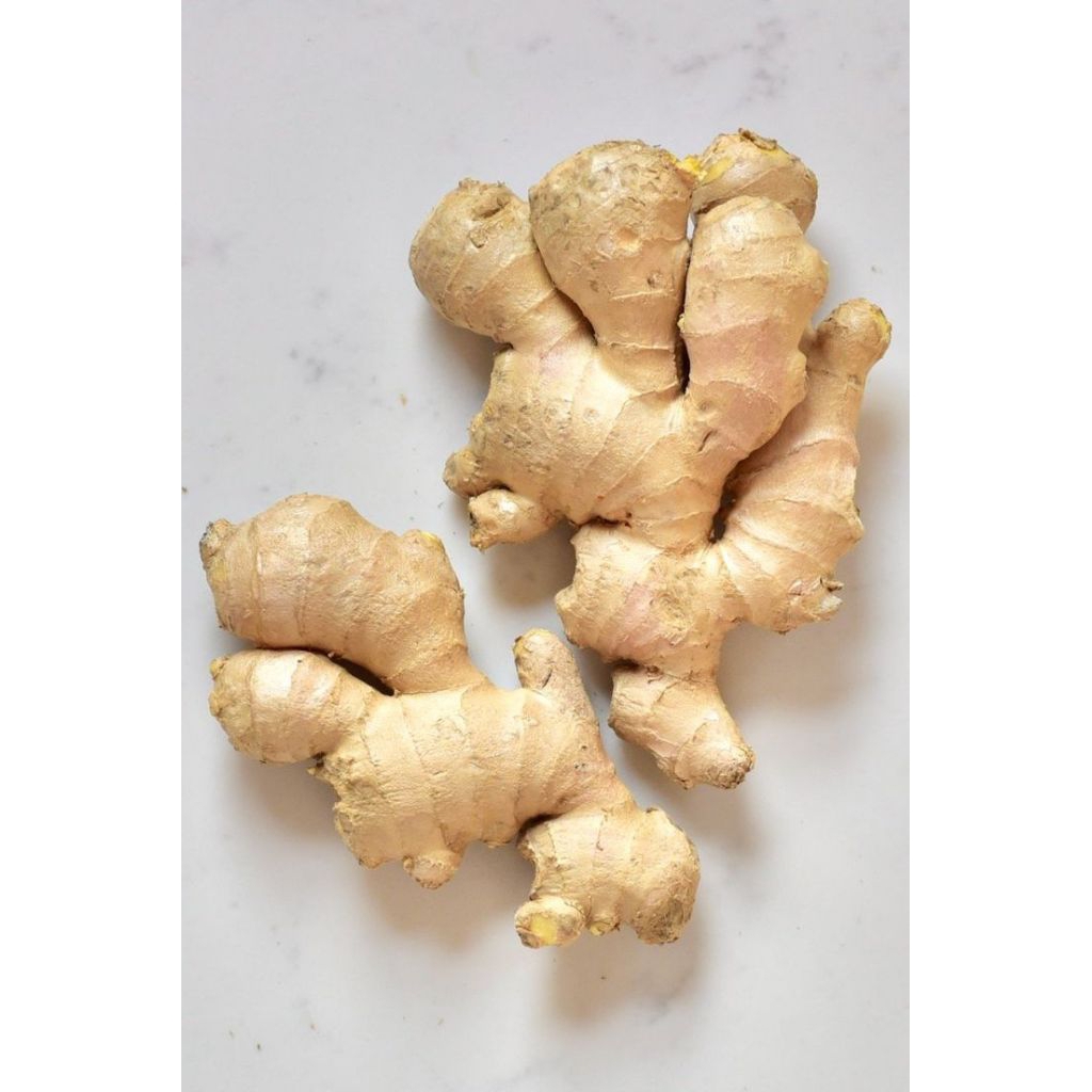 

Jahe Putih,Jahe Emprit Segar/500 gram - 1 kg Sudah Bersih tanpa tanah