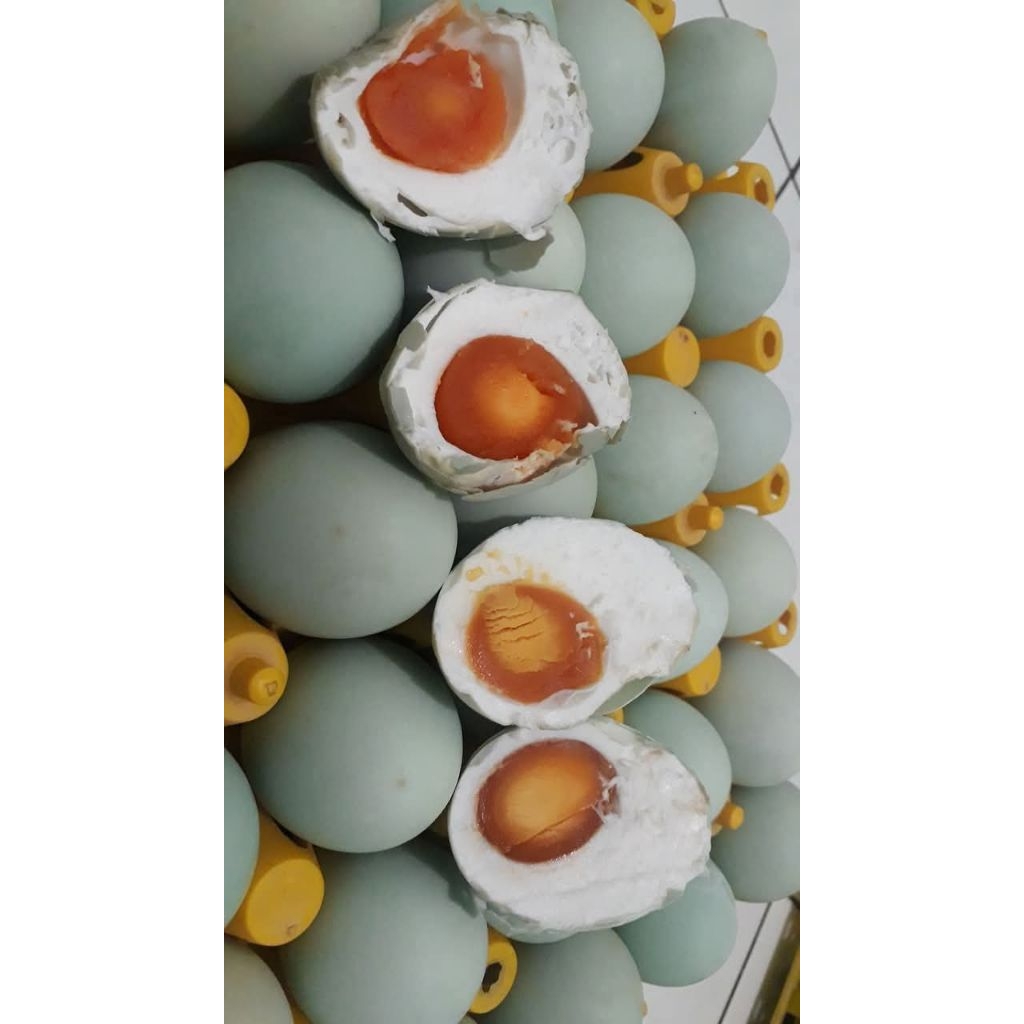 

TELUR ASIN MASIR ENAK KHAS KEDIRI