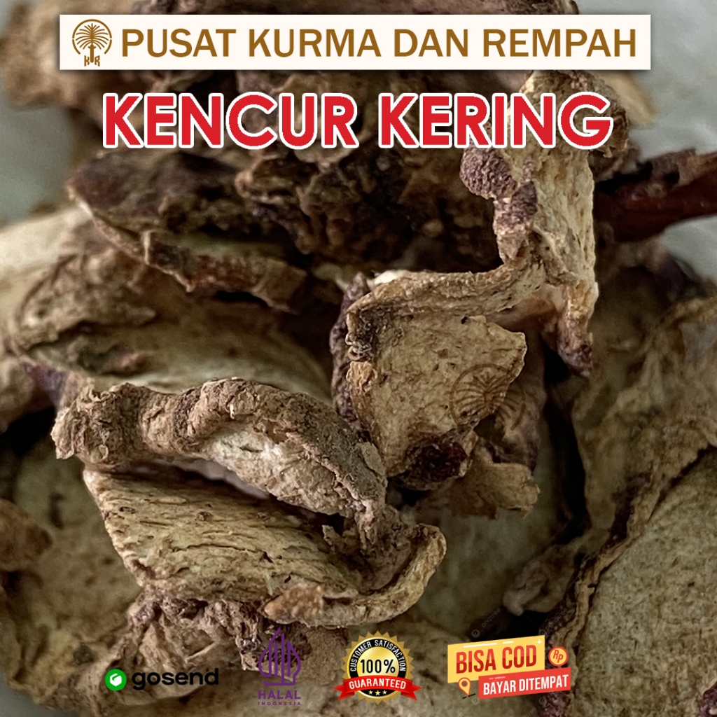 

Kencur Kering Organik 100gr Premium – Rempah Sehat, Siap Masak, Tanpa Campuran