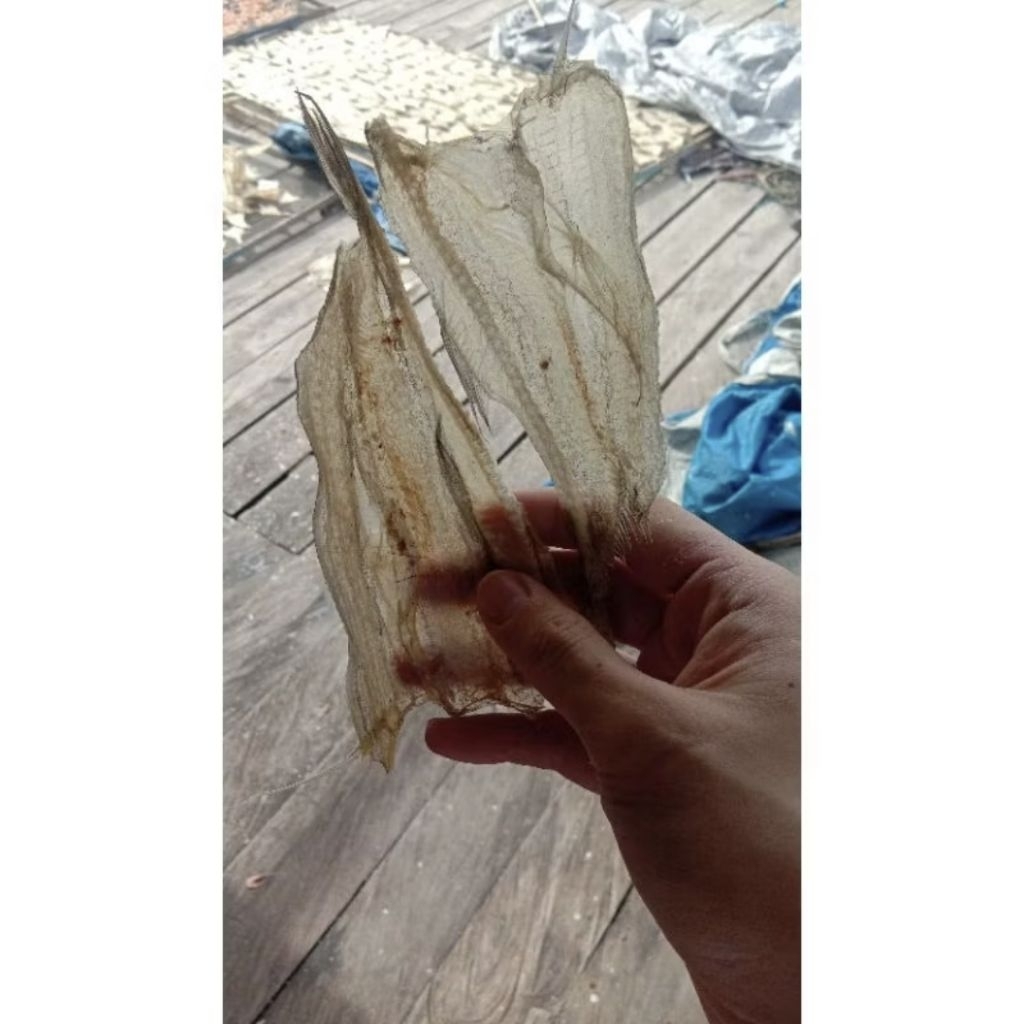 

Ikan Asin Tipis Tarakan 500gr & 1kg
