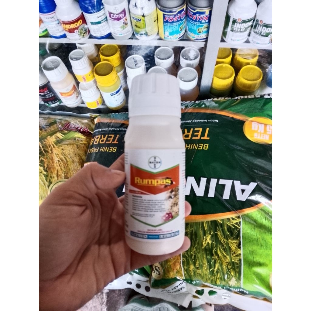 RUMPAS Herbisida untuk kacang-kacangan dan Kedelai