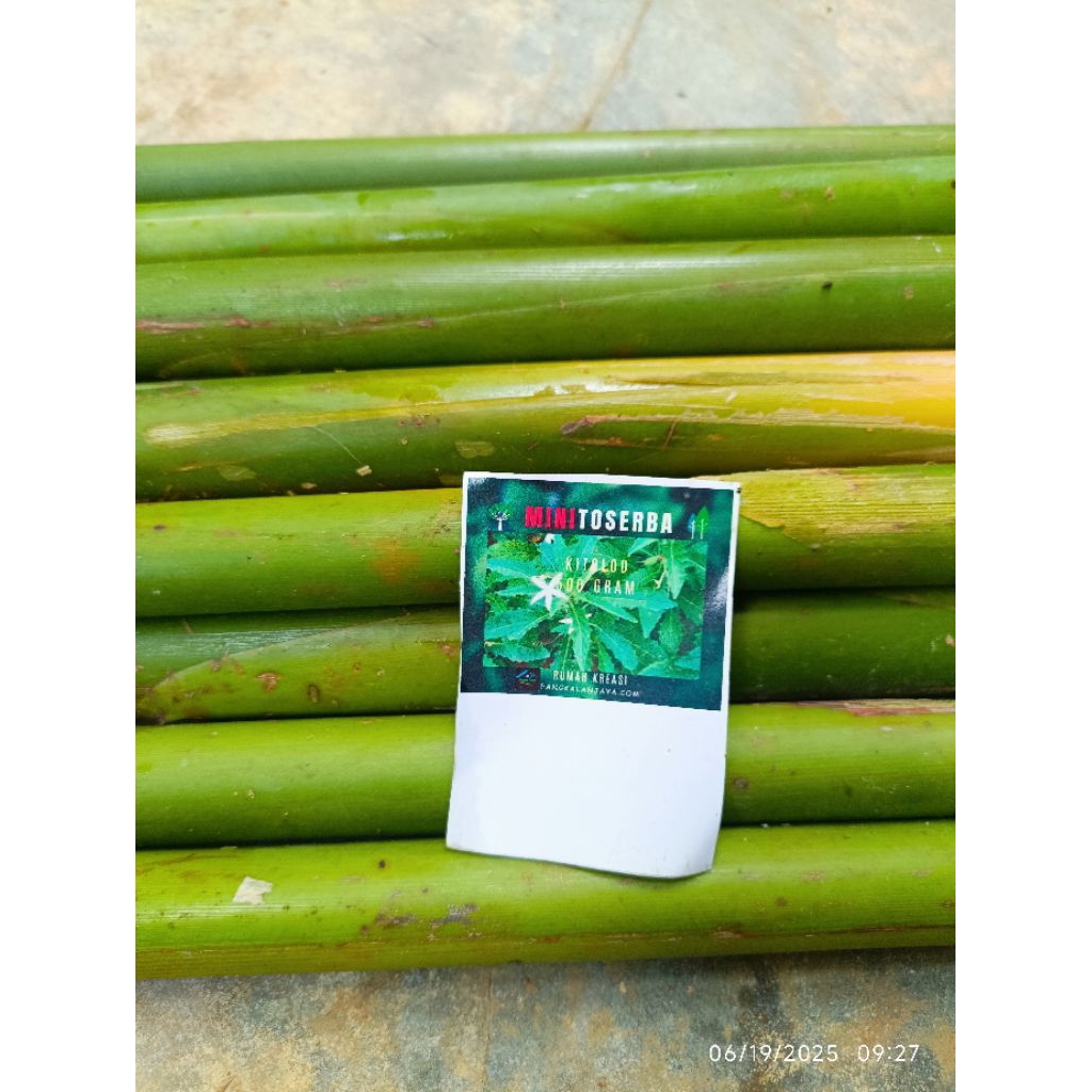 

Batang kecombrang honje laos rasa asam