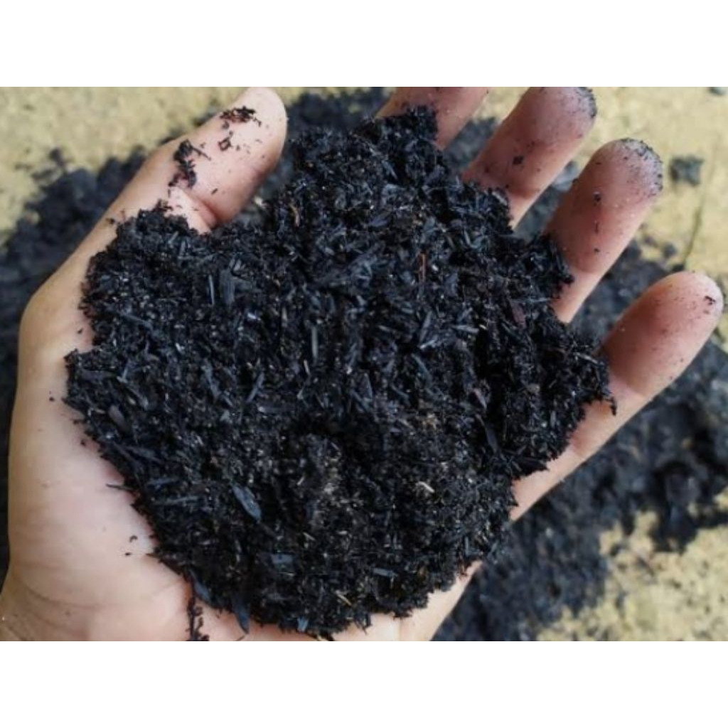 Sekam bakar fermentasi siap pakai