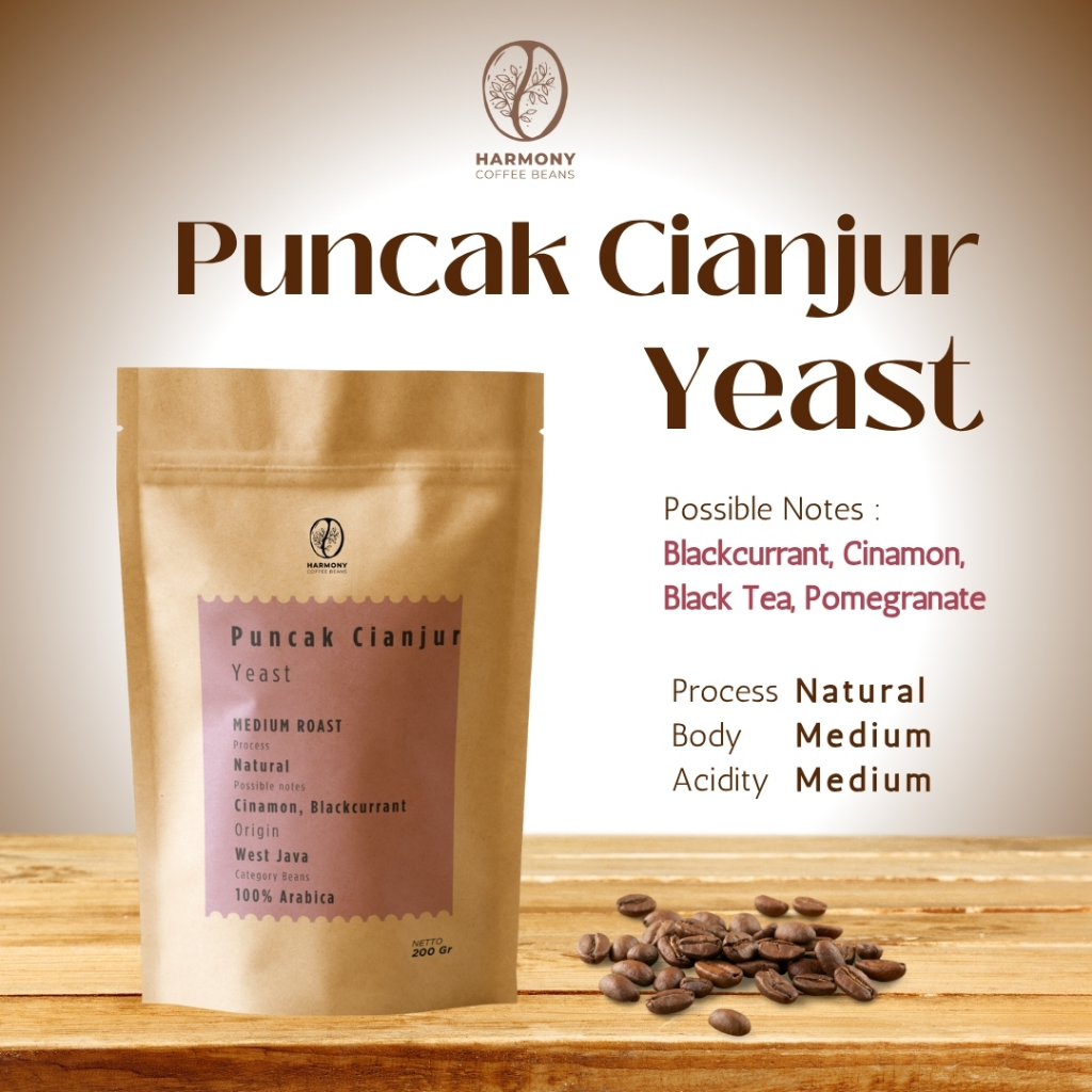 

Kopi Arabika Puncak Cianjur Arabica Coffee Yeast Natural Blackcurrant 200 gr Harmony Coffee
