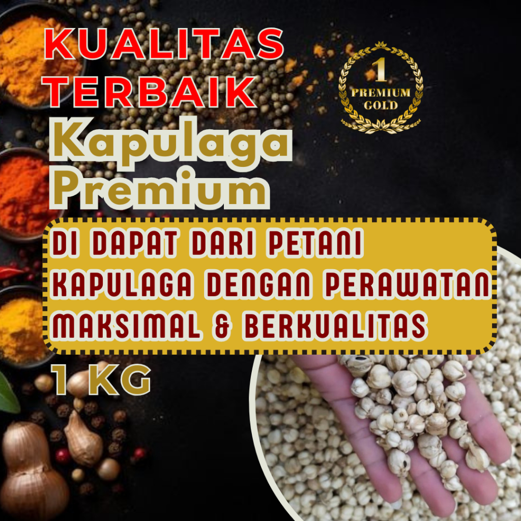 

Kapulaga Kering Premium Rempah Pilihan Terbaik 250gr 500gr 1kg