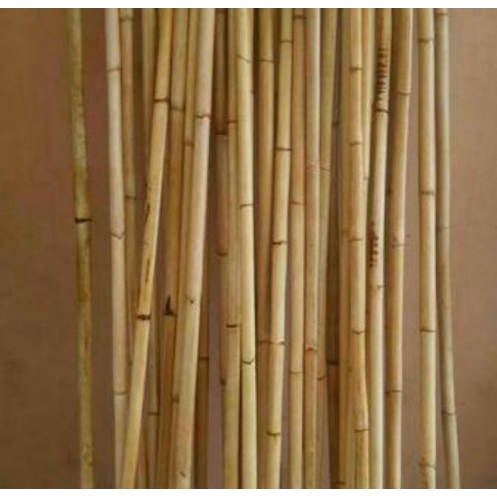 ROTAN BATANGAN PANJANG 120 cm