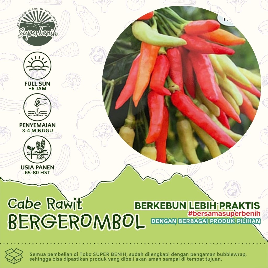 15 Biji - Benih CABE RAWIT BERGEROMBOL, buah mendompol unggul