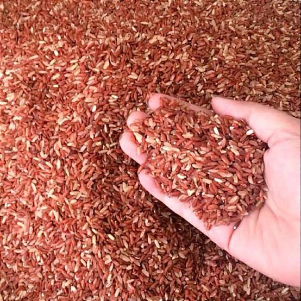 Beras Merah 1 Kg Pakan Untuk Ayam dan Burung