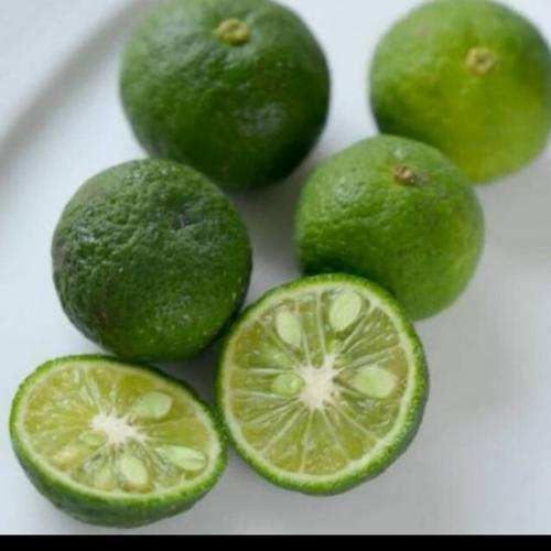 

Jeruk Limo - Jeruk Limau Harum Fresh -Jeruk Limo Fresh Murah Terdekat