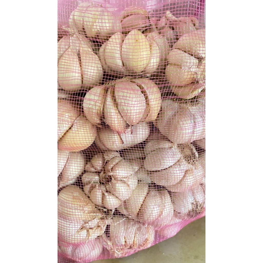 

bawang putih bersih 1.kg