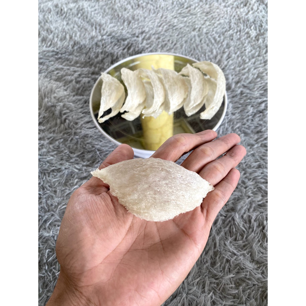 

Sarang Burung Walet OVAL Putih Jawa BERSIH 100% Original Tanpa Bahan Kimia / Pemutih (HARGA PER GRAM)