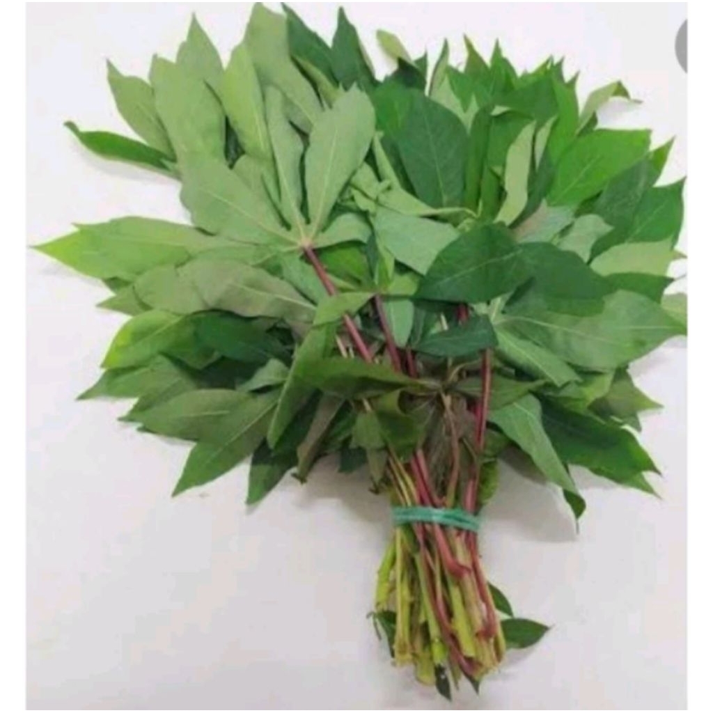 

Daun singkong Segar lalapan 1 Kg