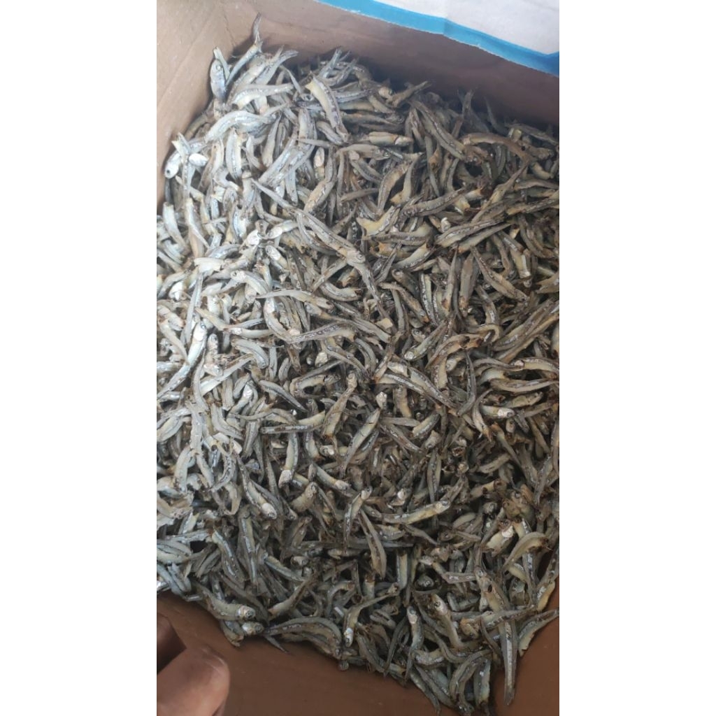 

TERI KACANG ECERAN