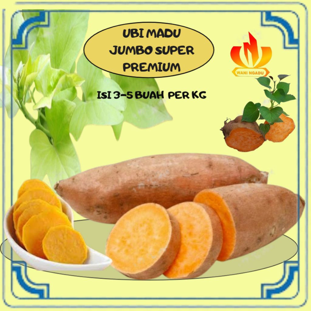 

ubi madu cilembu manis mentah 1kg kualitas premium