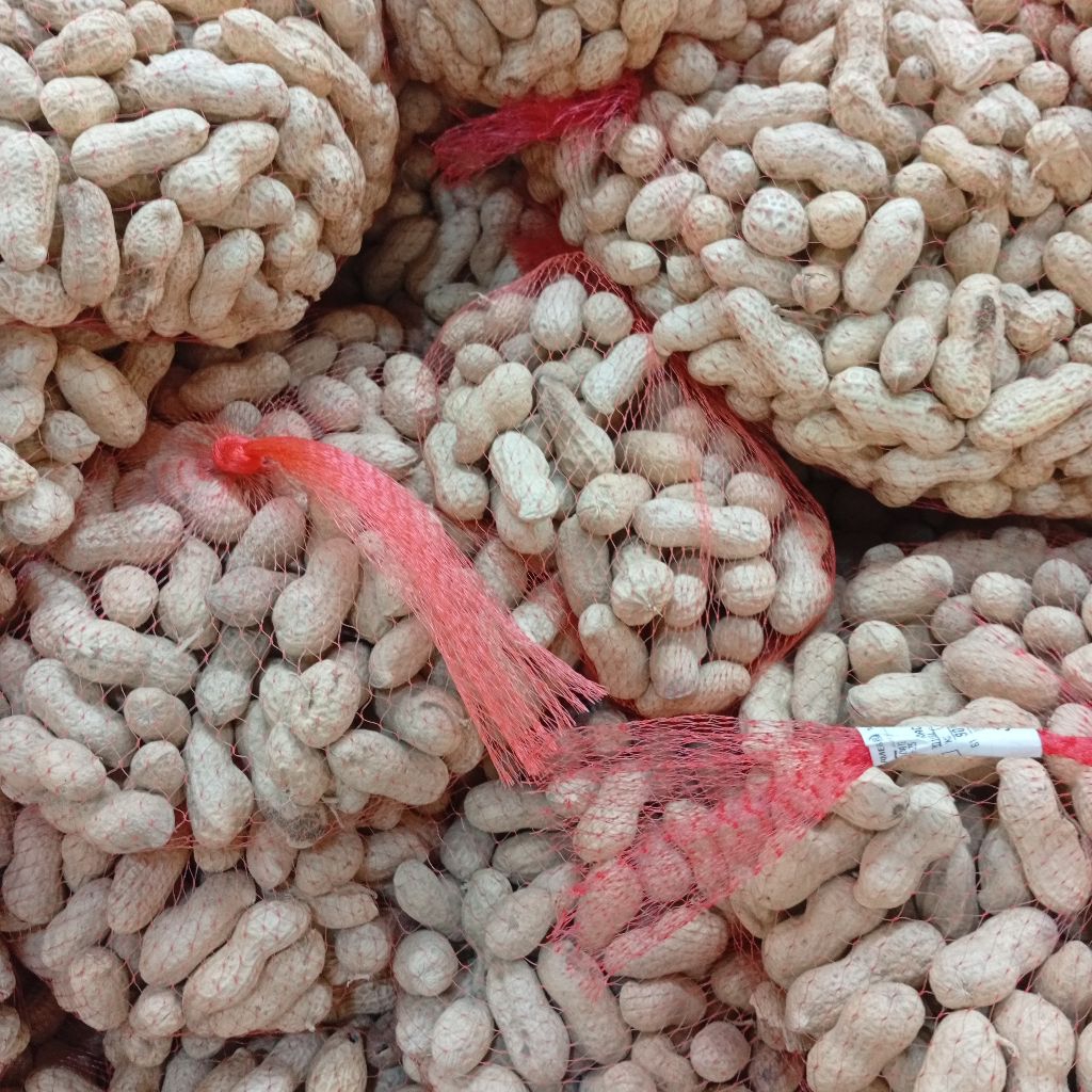 

Kacang Tanah Mentah 0.5kg Sayur Kacang Tanah