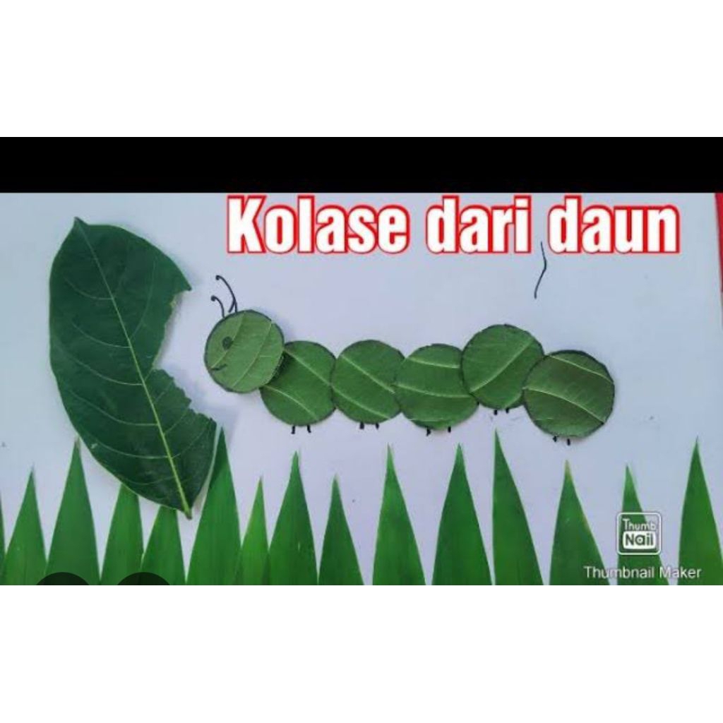 

Kerajinan tangan kolase daun isi 2 jenis (Belum jadi harus di tempel) untuk tugas sekolah