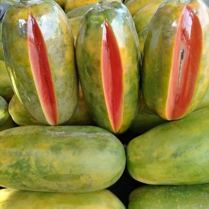 

Buah Pepaya Segar Pepaya California Tua