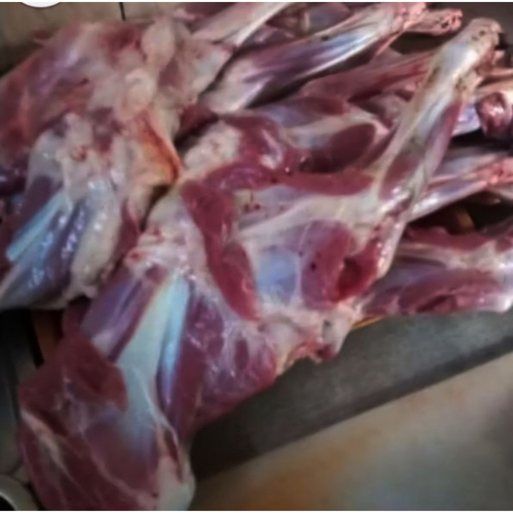 

paha depan domba muda dijamin fresh 1kg