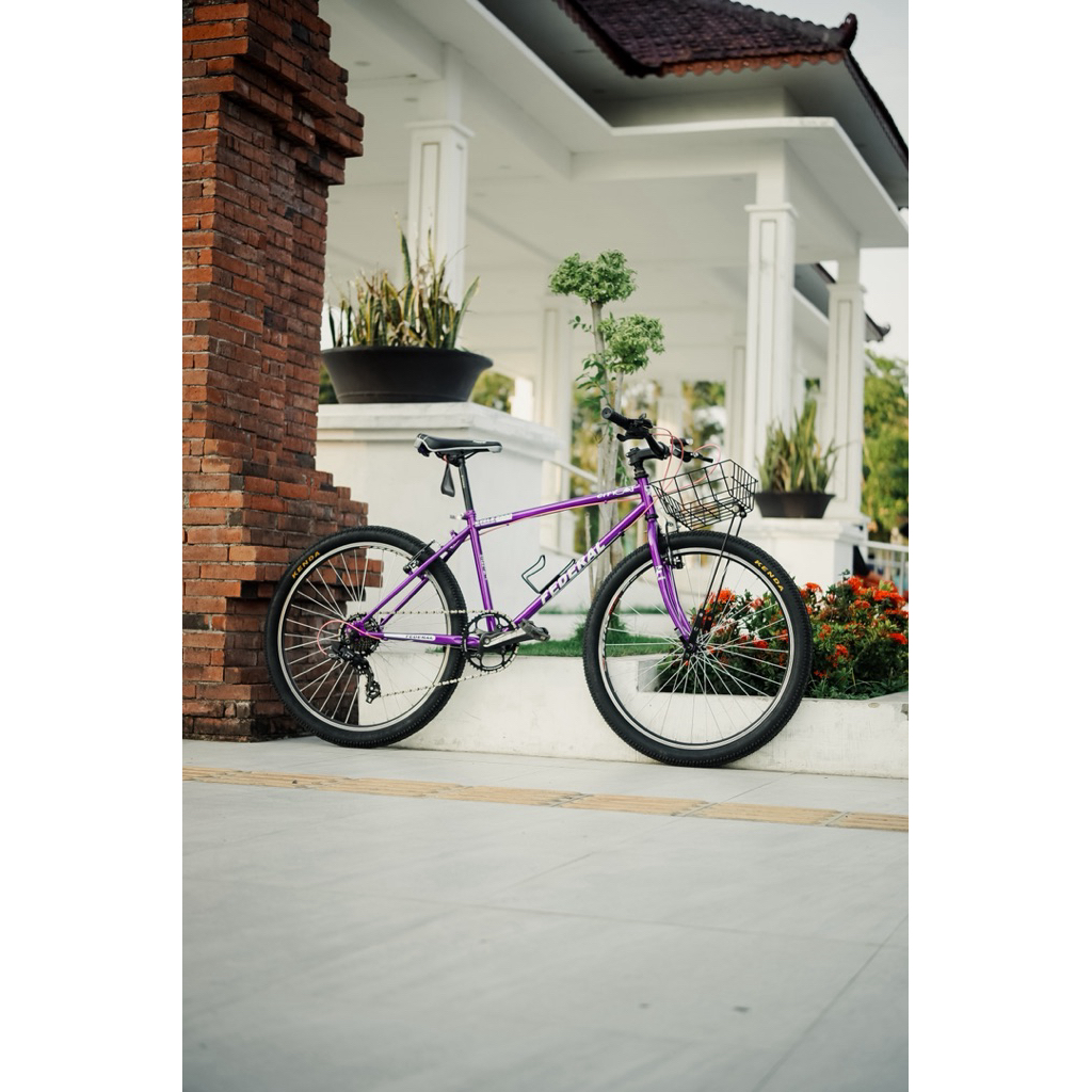 sepeda commuter bike