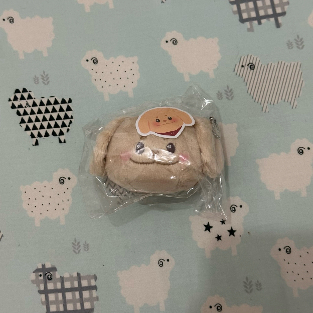 [JNE/J&T ONLY] ENHYPEN JAKE 10CM 5CM DOLL CLOTHES HIPPERS JERRI