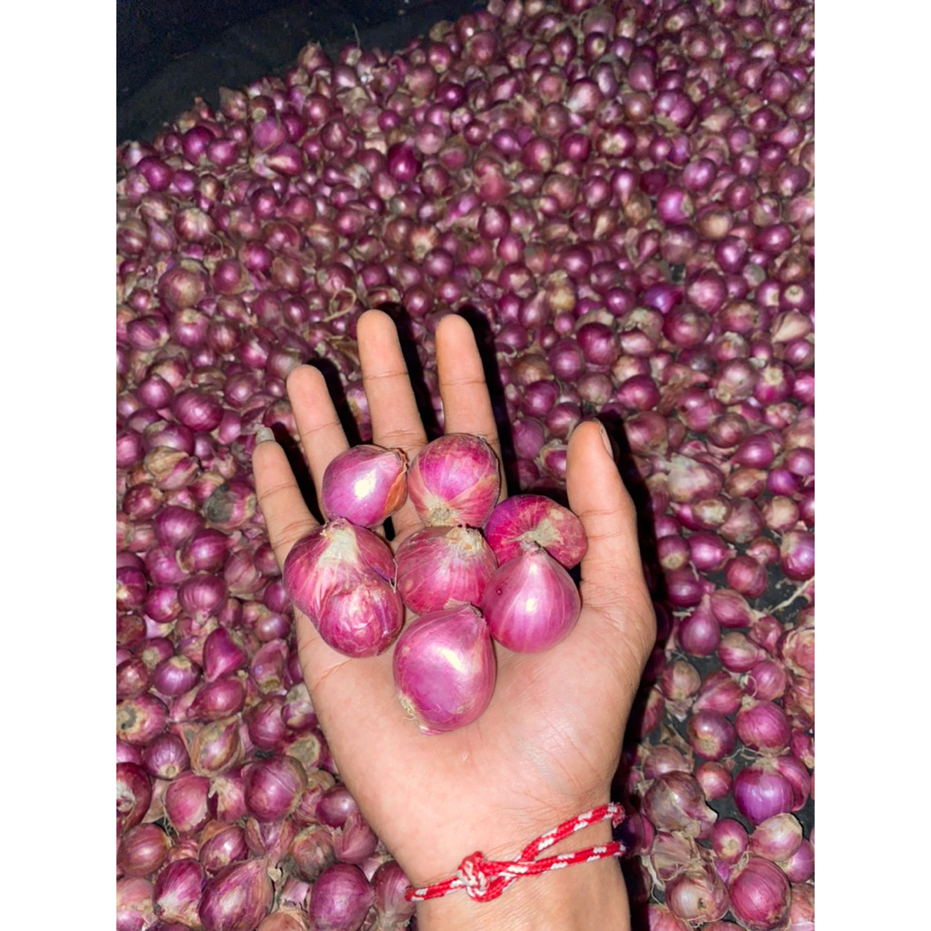 

Bawang merah probolinggo kemasan 750gr kering berkualitas
