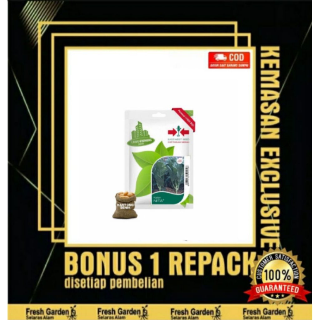 Benih Kailan NITA sayur - PANAH MERAH