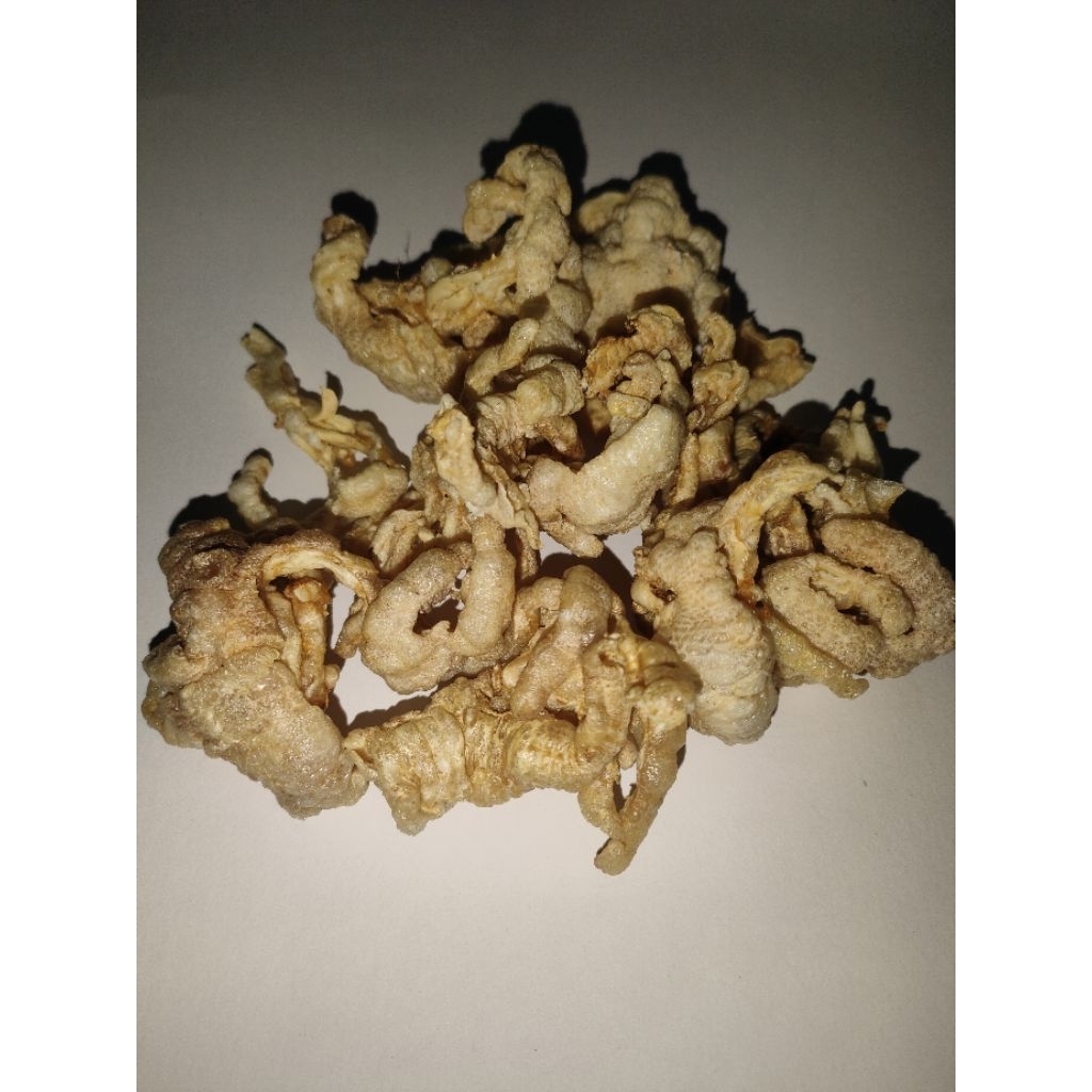 

KERIPIK CEKER TANPA TULANG GURIH DAN CRISPY 50GR