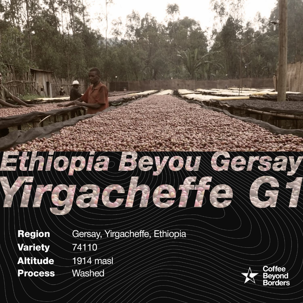 

Ethiopia Beyou Gersay Yirgacheffe G1