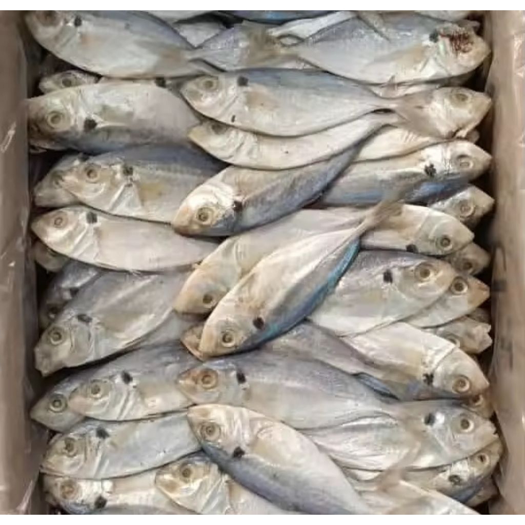 

ikan asin layang Cue murah