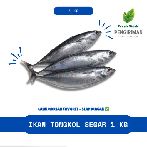 

IKAN TONGKOL SEGAR 1 KG | FreshStock