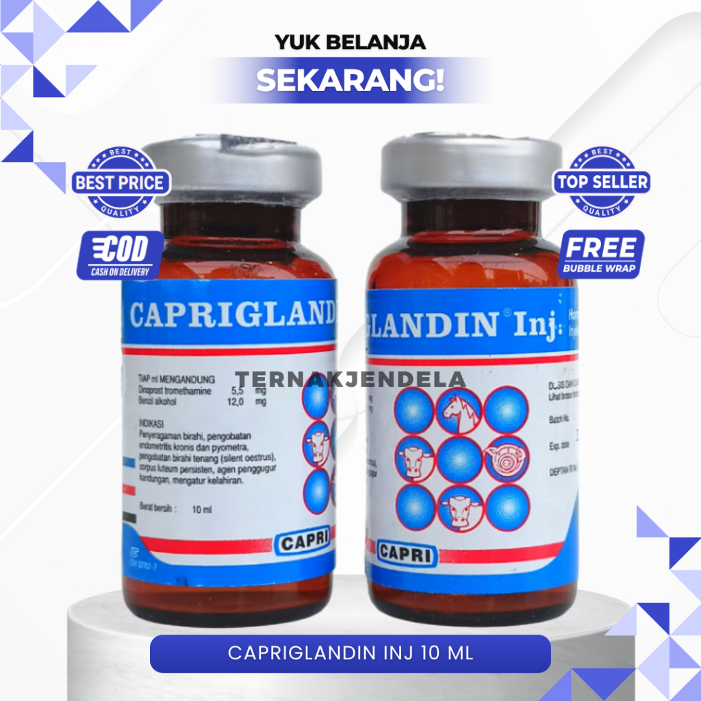 CAPRIGLANDIN INJ 10 ML - Hormon Sinkronisasi Estrus Sapi Kambing Domba Kuda Babi